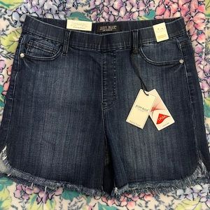 Judy Blue High Waisted Elastic Shorts